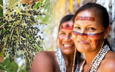 MyIced estabelece parceria com a marca Tribe Açaí