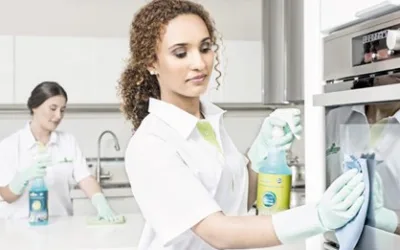 House Shine comemora resultados de 2020