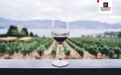Compras online dispara envio de vinhos da Mail Boxes Etc.