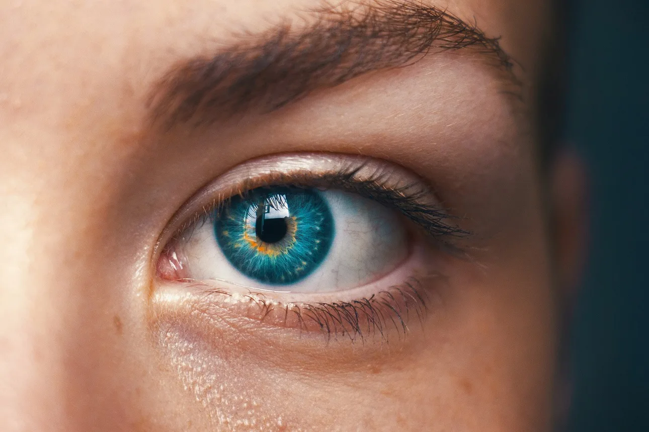Optivisao lanca loja phygital Optivisão lança loja phygital